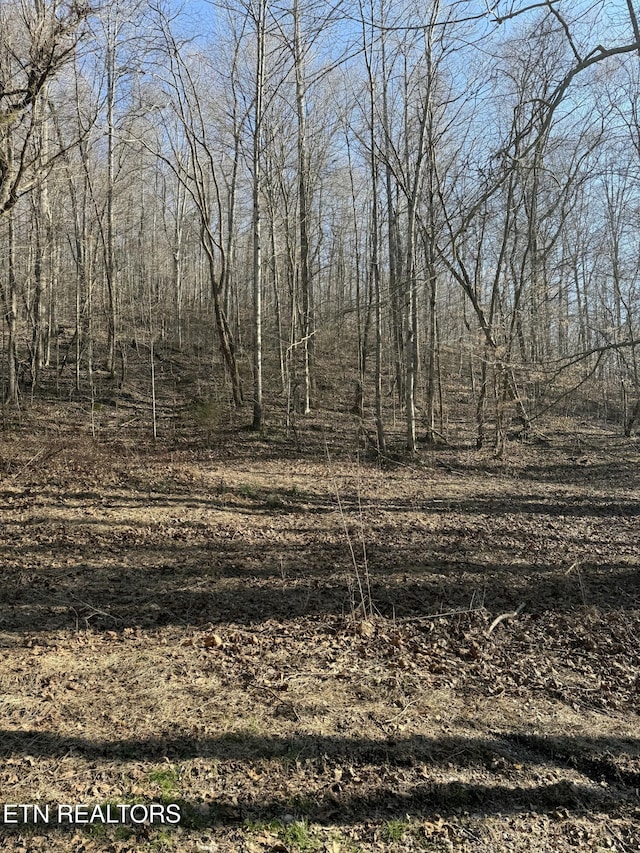 00 Jackson Ridge Rd, Tazewell TN, 37879 land for sale