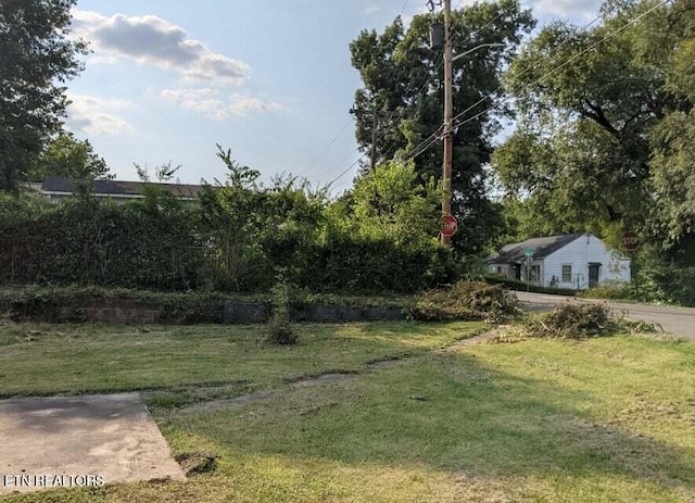 1616 Young Ave, Knoxville, TN 37920 - photo 2