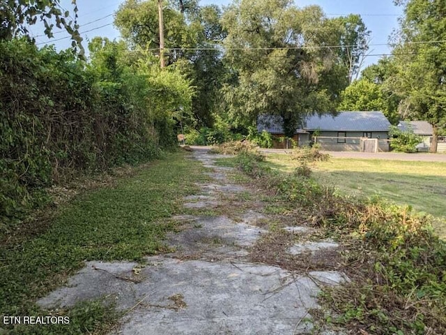 1616 Young Ave, Knoxville, TN 37920 - photo 4