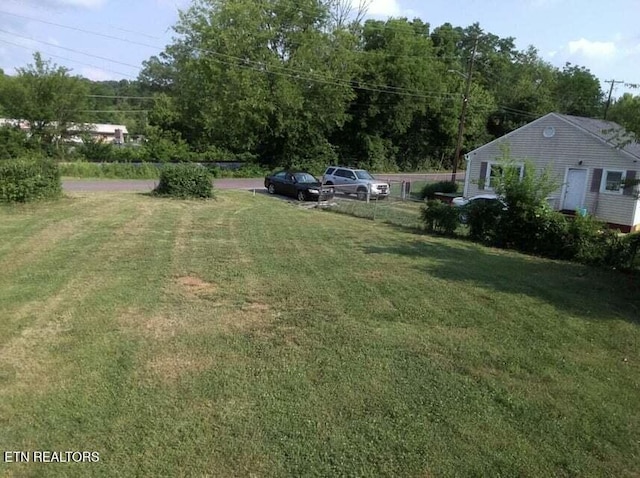 1616 Young Ave, Knoxville, TN 37920 - photo 7