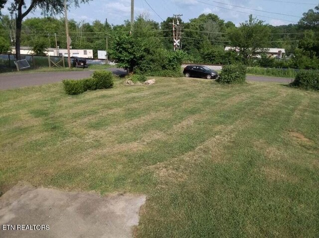 1616 Young Ave, Knoxville, TN 37920 - photo 13