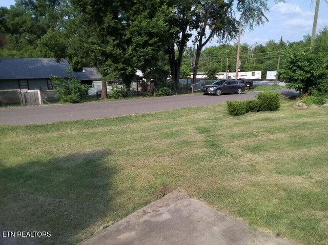 1616 Young Ave, Knoxville, TN 37920 - photo 15