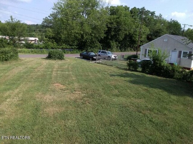1616 Young Ave, Knoxville, TN 37920 - photo 17