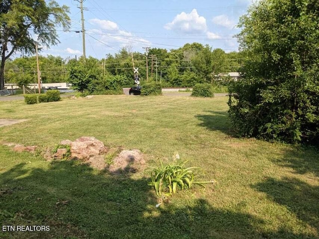 1616 Young Ave, Knoxville, TN 37920 - photo 1