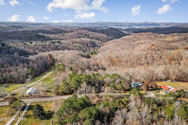 drone / aerial view featuring a mountain view and a wooded view