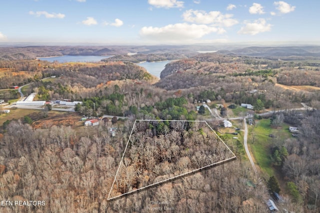 bird's eye view with a forest view and a water view