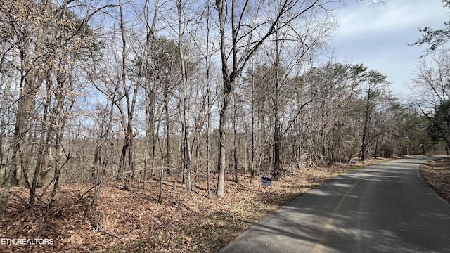 Mountain View Ln, Lot Baneberry TN, 37890 land for sale