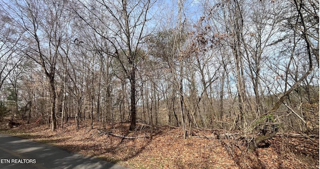 Mountain View Ln, Lot Baneberry, TN 37890