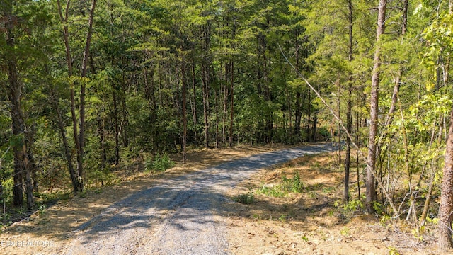 4536 Six Mile Rd, Maryville, TN 37803 - photo 3