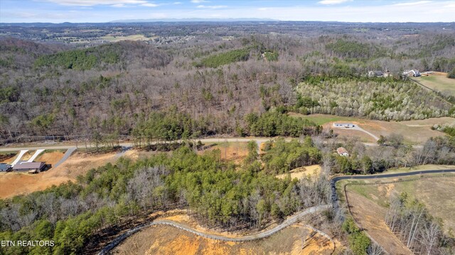 4536 Six Mile Rd, Maryville, TN 37803 - photo 7