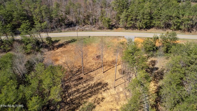 4536 Six Mile Rd, Maryville, TN 37803 - photo 8
