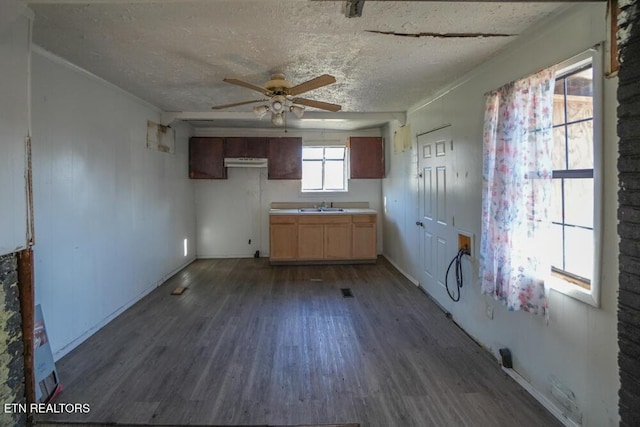 kitchen featuring a textured ceiling, ceiling fan, dark wood-style floors, and a sink