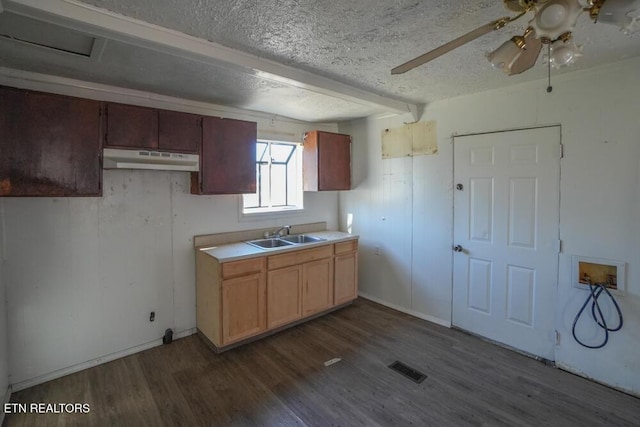 kitchen featuring visible vents, a sink, under cabinet range hood, a textured ceiling, and dark wood-style floors