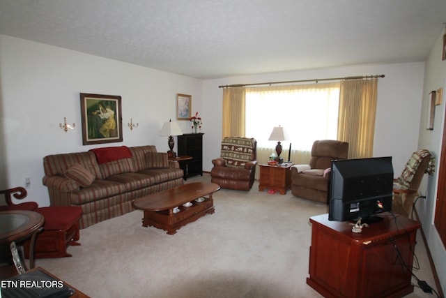 carpeted living area with a textured ceiling