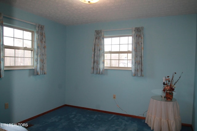 carpeted empty room with plenty of natural light, baseboards, and a textured ceiling