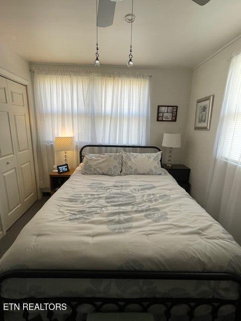 bedroom featuring multiple windows and a closet