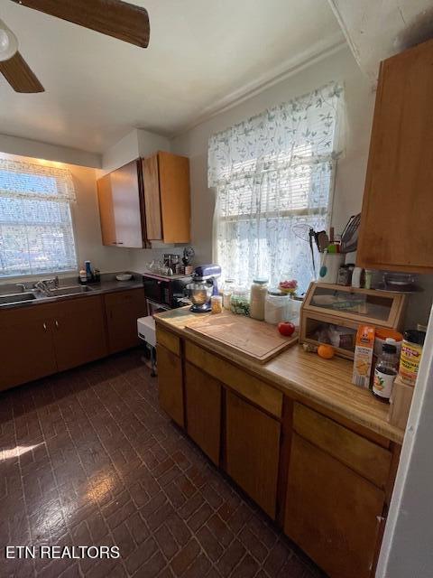 kitchen with a sink, light countertops, a healthy amount of sunlight, and ceiling fan