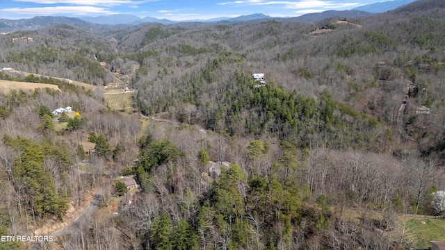 birds eye view of property featuring a forest view and a mountain view