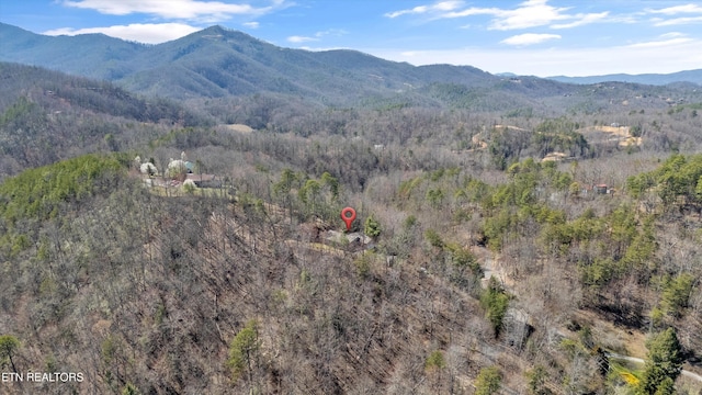 property view of mountains featuring a view of trees