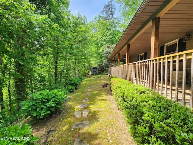 view of yard with an outdoor structure and a shed