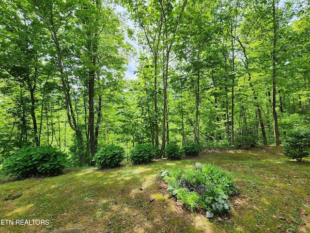 view of nature with a view of trees