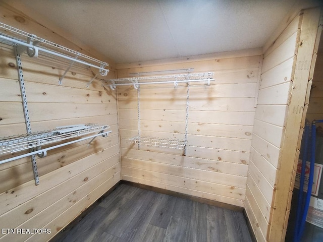 spacious closet with dark wood finished floors