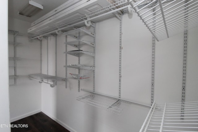 spacious closet featuring dark wood-style floors