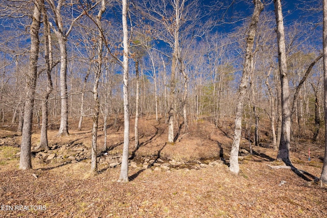 view of nature with a forest view