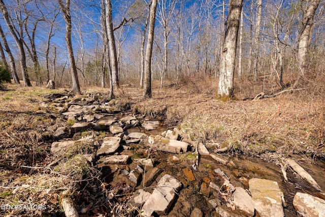 view of nature featuring a wooded view