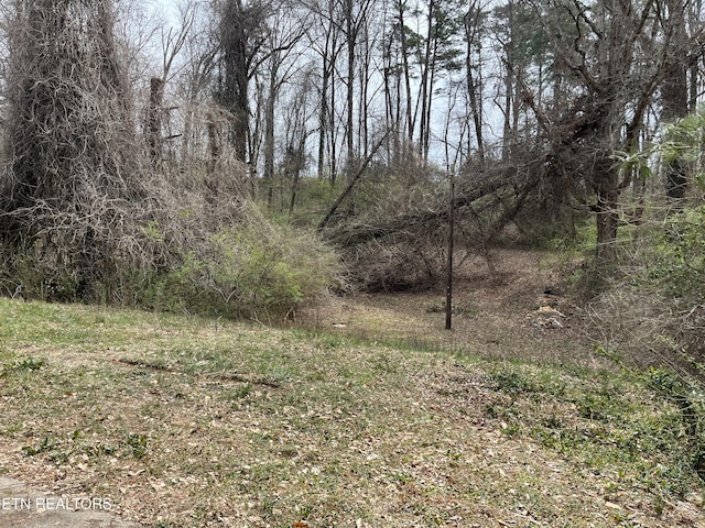 view of local wilderness