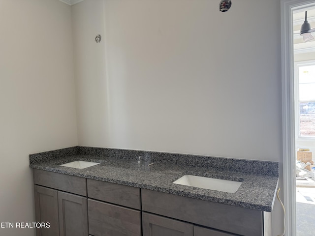 bathroom with a sink