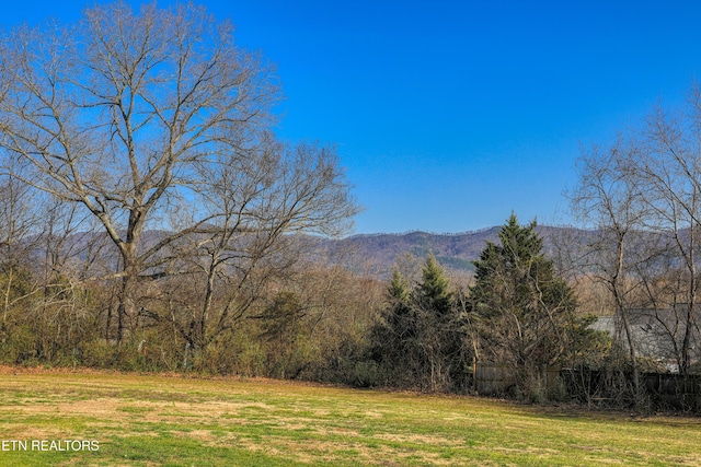 mountain view featuring a view of trees