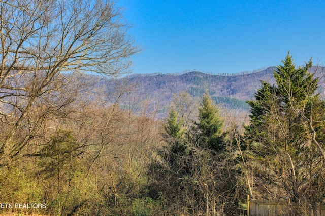 view of mountain feature featuring a wooded view