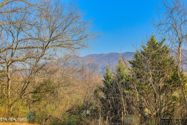 property view of mountains with a view of trees