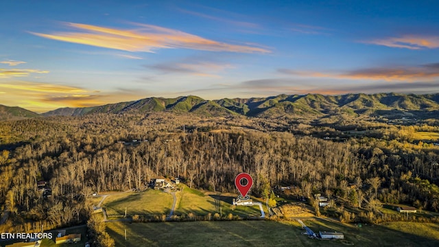 drone / aerial view with a view of trees and a mountain view