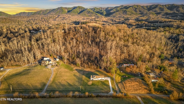 drone / aerial view with a wooded view and a mountain view