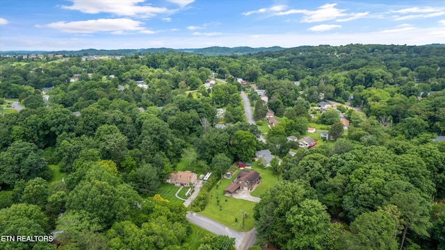 1301 Chert Pit Rd, Knoxville, TN 37923 - bird's eye view of a heavily wooded area