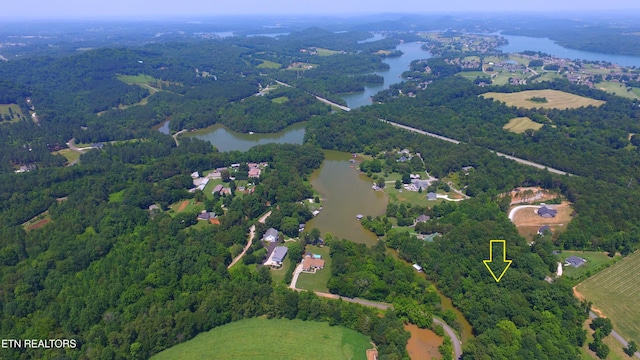 159 Bat Creek Shores Ln, Vonore, TN 37885 - photo 4