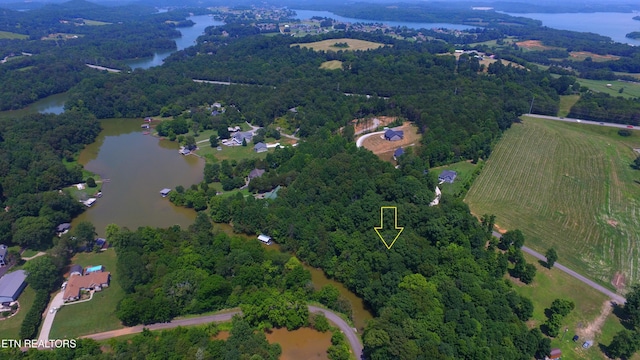 159 Bat Creek Shores Ln, Vonore, TN 37885 - photo 3