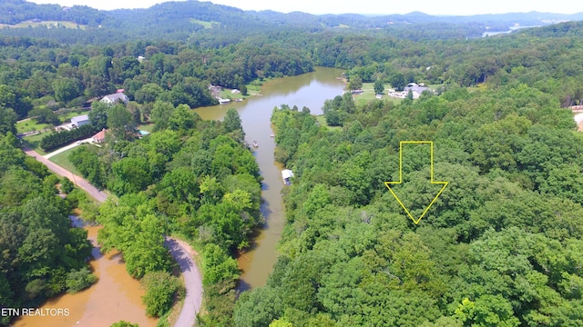 159 Bat Creek Shores Ln, Vonore, TN 37885 - photo 7