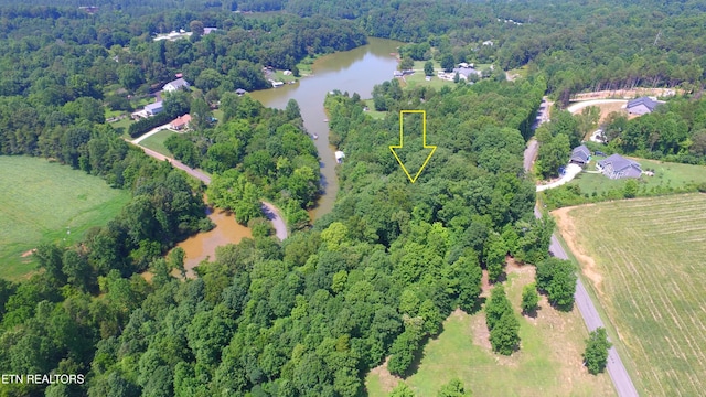 159 Bat Creek Shores Ln, Vonore, TN 37885 - photo 8