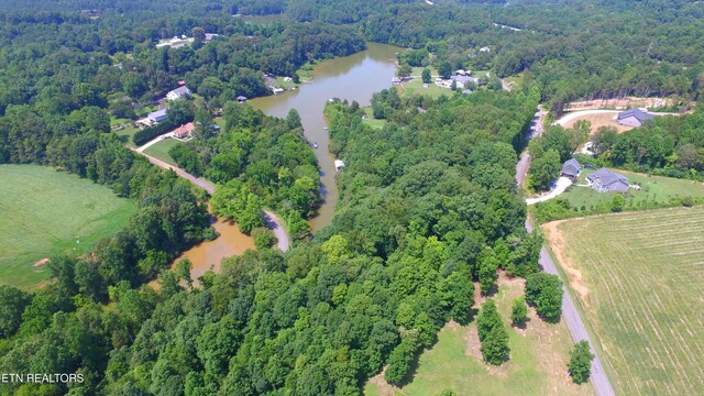 159 Bat Creek Shores Ln, Vonore, TN 37885 - photo 9