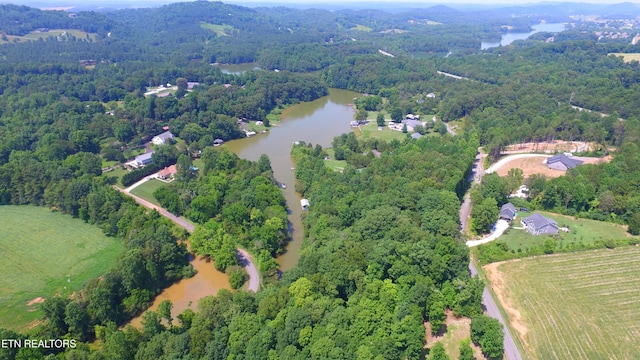 159 Bat Creek Shores Ln, Vonore, TN 37885 - photo 10
