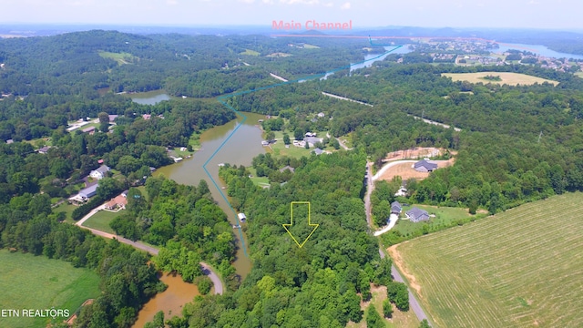 159 Bat Creek Shores Ln, Vonore, TN 37885 - photo 11