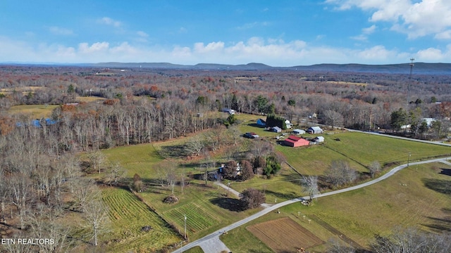 birds eye view of property featuring a rural view and a mountain view