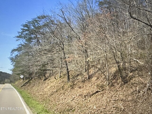 Jones Cove Rd, Sevierville, TN 37876