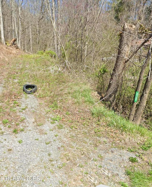 Jones Cove Rd, Sevierville, TN 37876