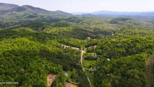 Jones Cove Rd, Sevierville, TN 37876