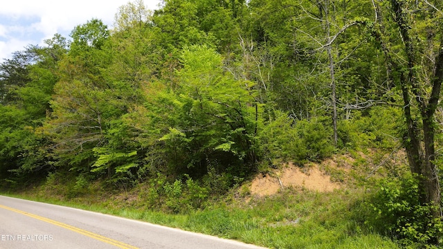 Jones Cove Rd, Sevierville, TN 37876
