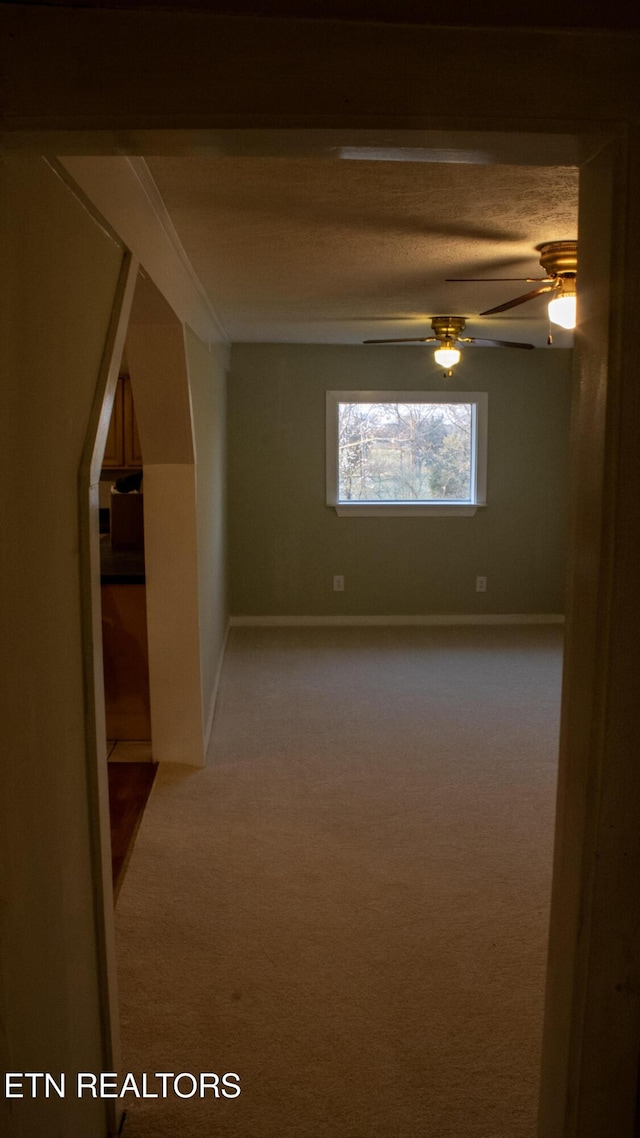 bonus room featuring baseboards, ceiling fan, and carpet floors